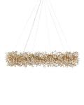 CURREY & COMPANY, CRYSTAL BUD GRANDE RING CHANDELIER, CHANDELIER LIGHT
