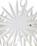 CURREY & COMPANY, BISMARKIA CHANDELIER, CHANDELIER LIGHT