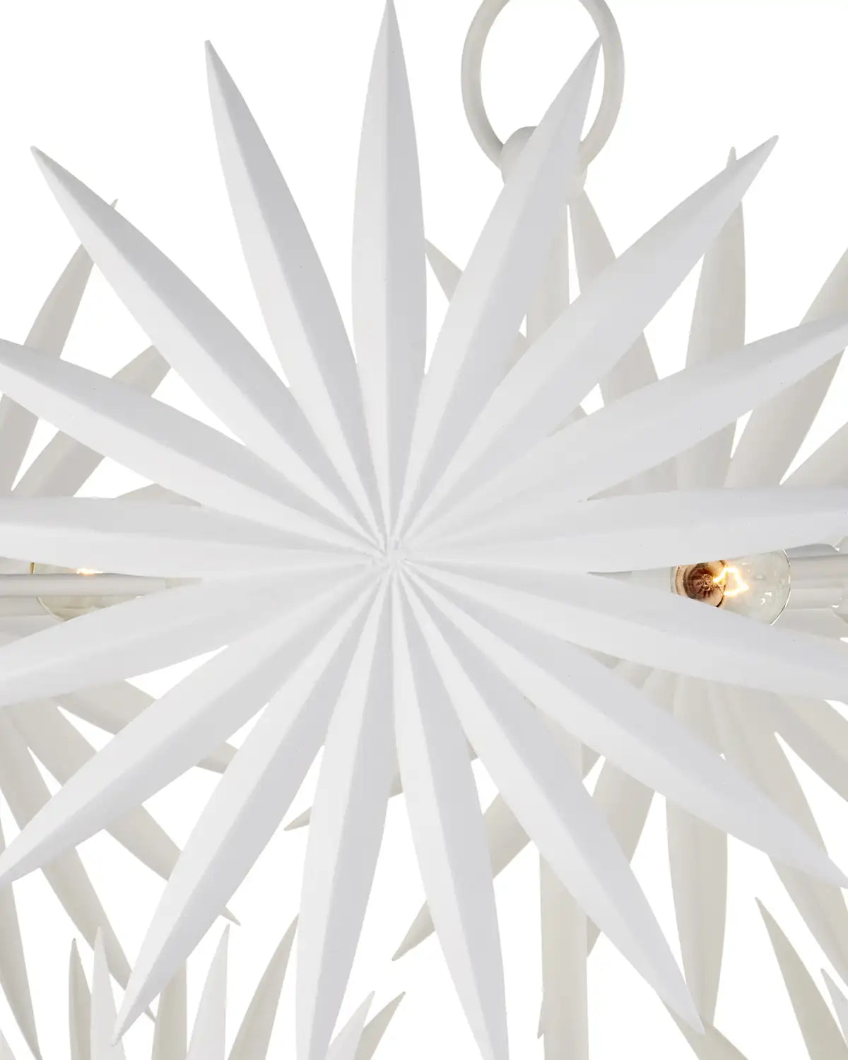 CURREY & COMPANY, BISMARKIA CHANDELIER, CHANDELIER LIGHT