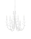 CURREY & COMPANY, TWIGGY OVAL CHANDELIER, CHANDELIER LIGHT