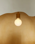 CURREY & COMPANY, TAMAGO PENDANT, PENDANT LIGHT