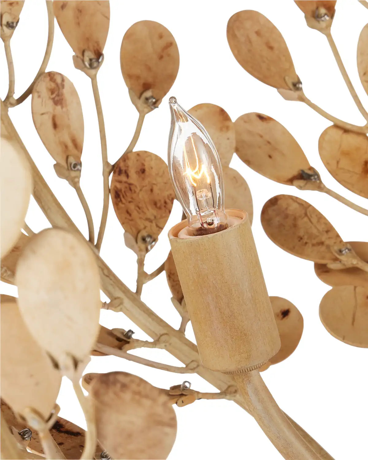 CURREY & COMPANY, MAYPAN CHANDELIER, CHANDELIER LIGHT