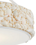 CURREY & COMPANY, TURBINELLA SEMI-FLUSH MOUNT, SEMI FLUSH MOUNT LIGHT