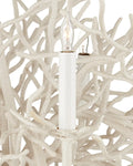 CURREY & COMPANY, SEAWARD CHANDELIER, CHANDELIER LIGHT
