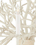 CURREY & COMPANY, SEAWARD CHANDELIER, CHANDELIER LIGHT