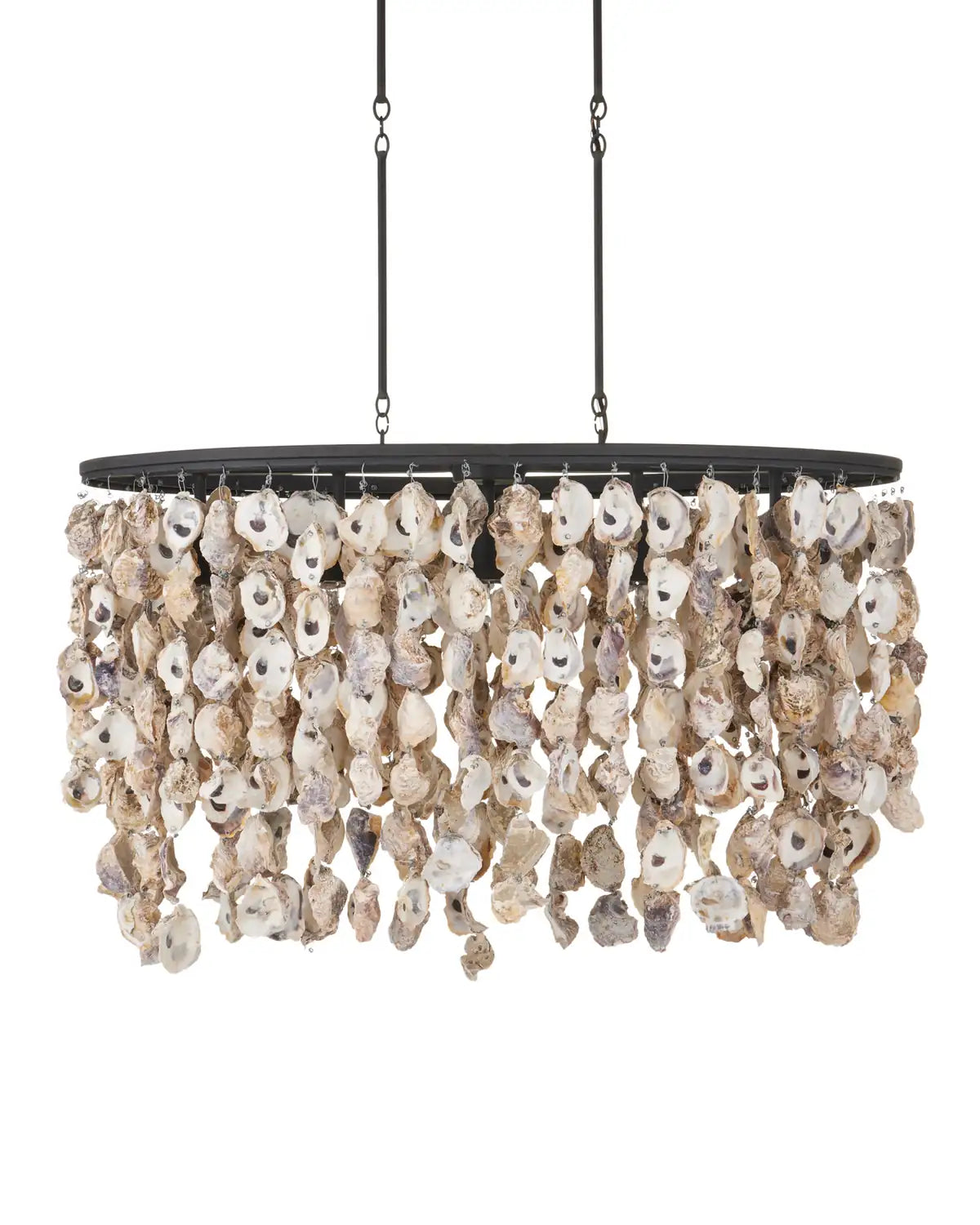 CURREY & COMPANY, STILLWATER OYSTER SHELL OVAL CHANDELIER, CHANDELIER LIGHT