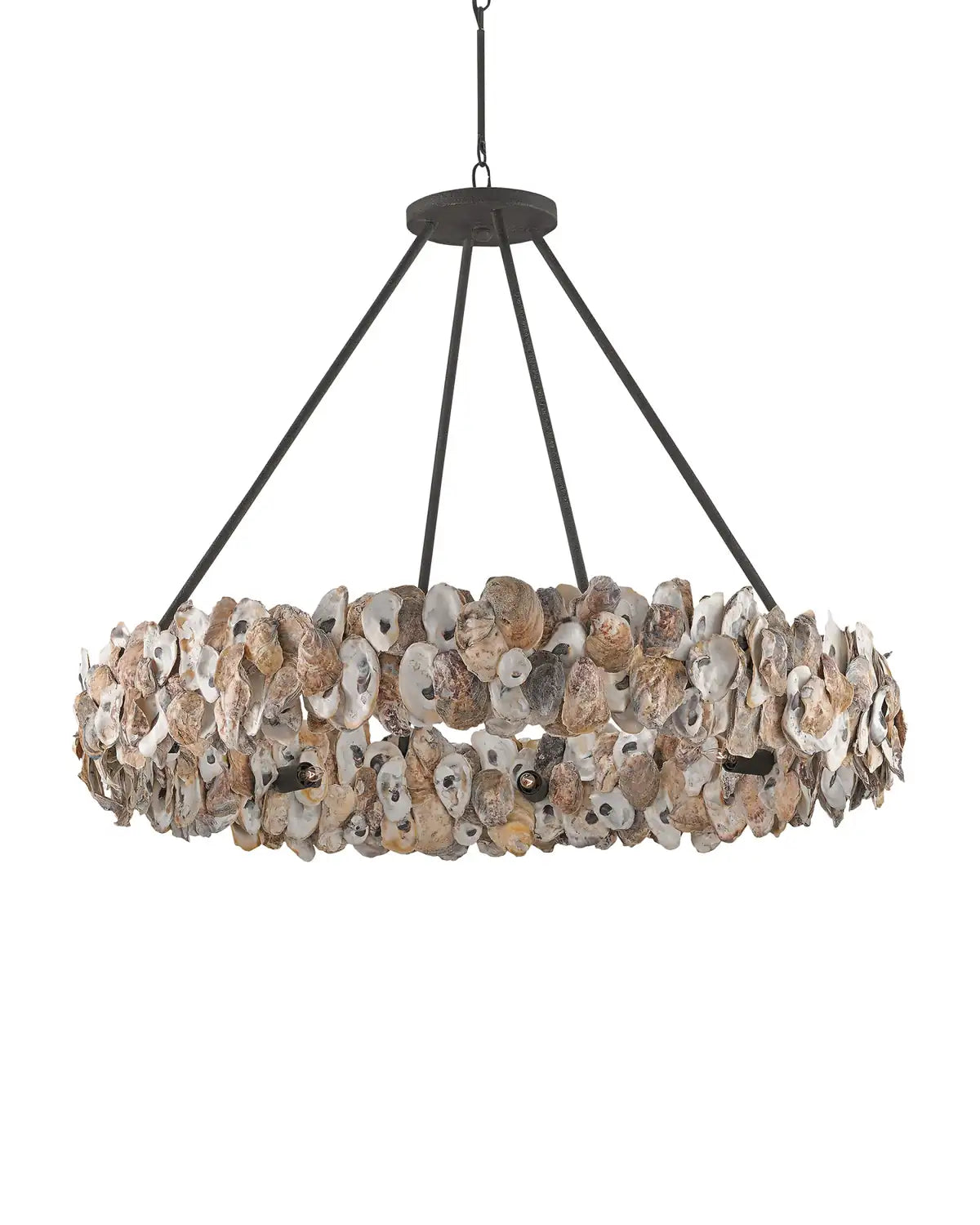 CURREY & COMPANY, OYSTER SHELL CHANDELIER, CHANDELIER LIGHT