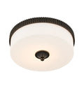 CURREY & COMPANY, BRYCE FLUSH MOUNT, FLUSH MOUNT CEILING LIGHTS