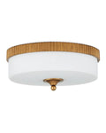CURREY & COMPANY, BRYCE FLUSH MOUNT, FLUSH MOUNT CEILING LIGHTS