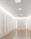 DAINOLITE, CARMEN CEILING FLUSH, FLUSH MOUNT CEILING LIGHTS