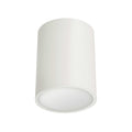 DAINOLITE, ECHO CEILING FLUSH, FLUSH MOUNT CEILING LIGHTS