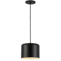 DAINOLITE, EMILIA HANGING PENDANT, PENDANT LIGHT