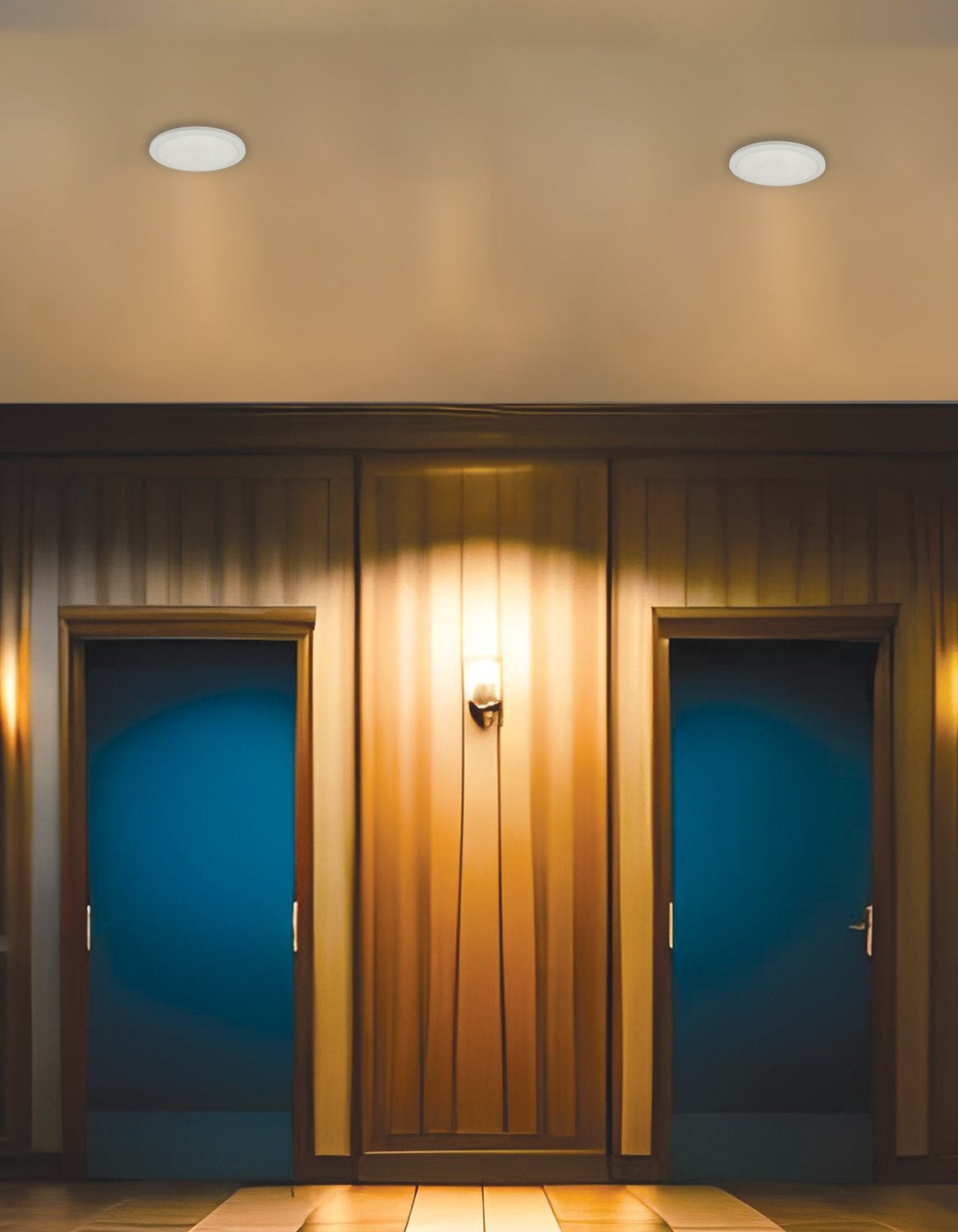 DAINOLITE, FRANCHESA CEILING FLUSH, FLUSH MOUNT CEILING LIGHTS