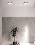 DAINOLITE, FRANCHESA CEILING FLUSH, FLUSH MOUNT CEILING LIGHTS