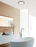DAINOLITE, FRANCHESA CEILING FLUSH, FLUSH MOUNT CEILING LIGHTS