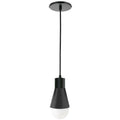DAINOLITE, FORTUNA HANGING PENDANT, PENDANT LIGHT