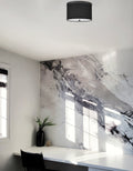 DAINOLITE, FREDERICA CEILING FLUSH, FLUSH MOUNT CEILING LIGHTS