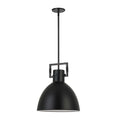 DAINOLITE, LIBERTY HANGING PENDANT, PENDANT LIGHT