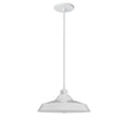 DAINOLITE, OLYA HANGING PENDANT, PENDANT LIGHT
