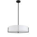 DAINOLITE, PRESTON HANGING PENDANT, PENDANT LIGHT