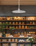 DAINOLITE, QUENTIN HANGING PENDANT, PENDANT LIGHT
