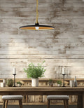 DAINOLITE, QUENTIN HANGING PENDANT, PENDANT LIGHT