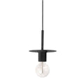 DAINOLITE, ROSWELL HANGING PENDANT, PENDANT LIGHT