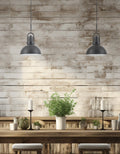 DAINOLITE, REVEKA HANGING PENDANT, PENDANT LIGHT