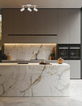 DAINOLITE TAYLOR CEILING TRACK