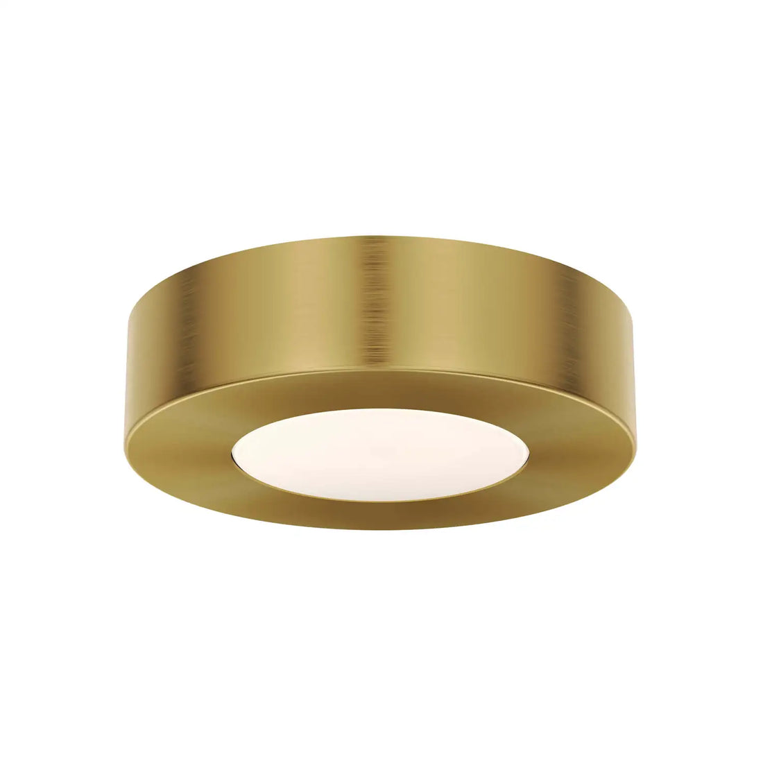 DALS PUSH PUCK LIGHT - Task