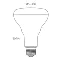 DALS BR30 PRO BULB | DCP-BLBBR30