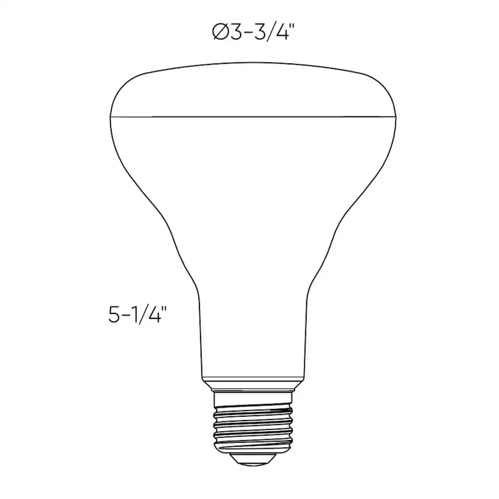 DALS BR30 PRO BULB | DCP-BLBBR30