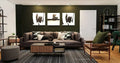 DALS, PIVOT GIMBAL LIGHT, FLUSH MOUNT CEILING LIGHTS