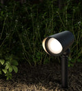 DALS, SPOT LIGHT, PATH LIGHTS
