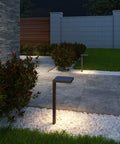 DALS EDGE LIGHT - Path