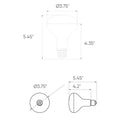 DALS BR30 SMART BULB | SM-BLBBR30