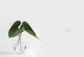 DALS SMART DIMMER LIGHT | SM-DIMSW