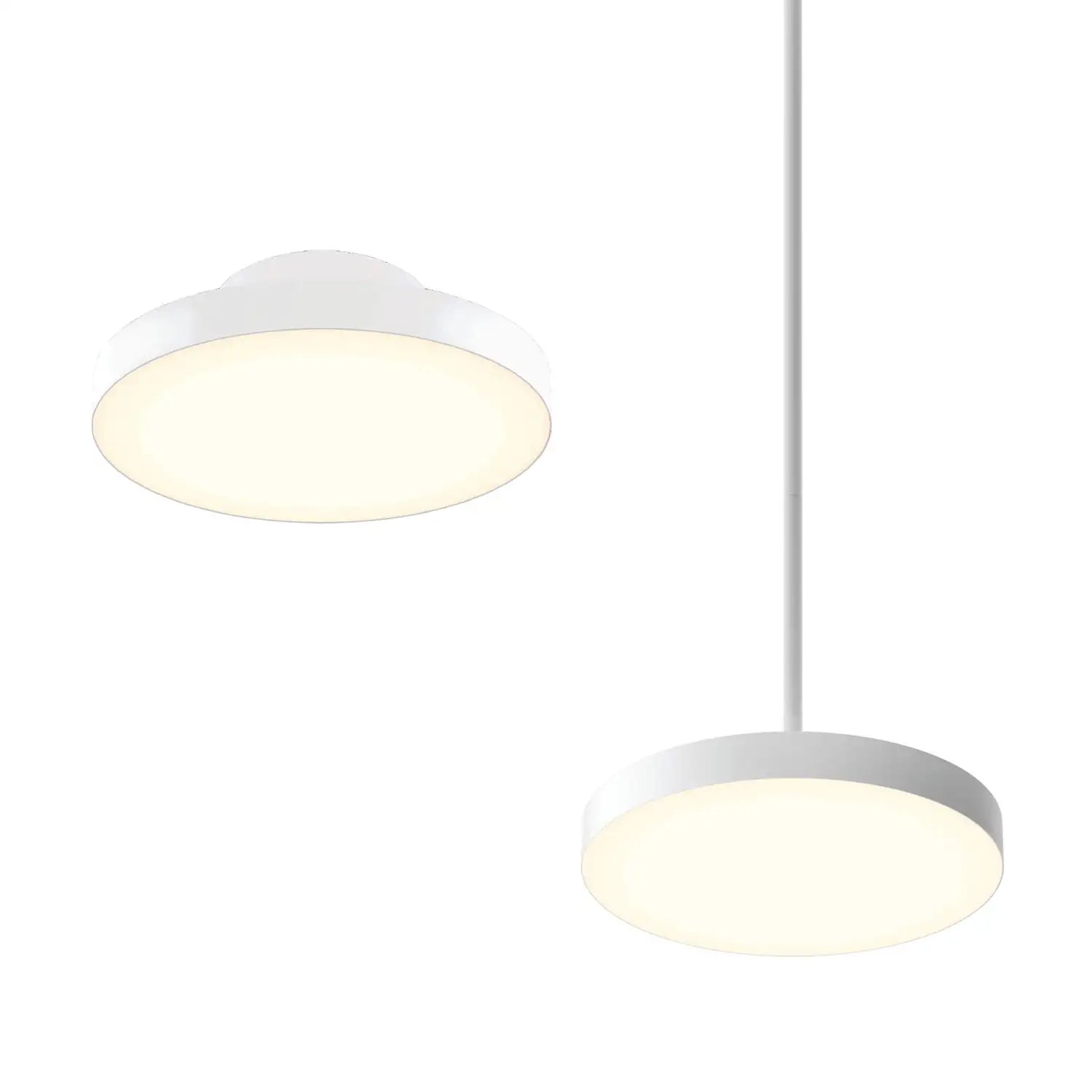 DALS FUSION LIGHT