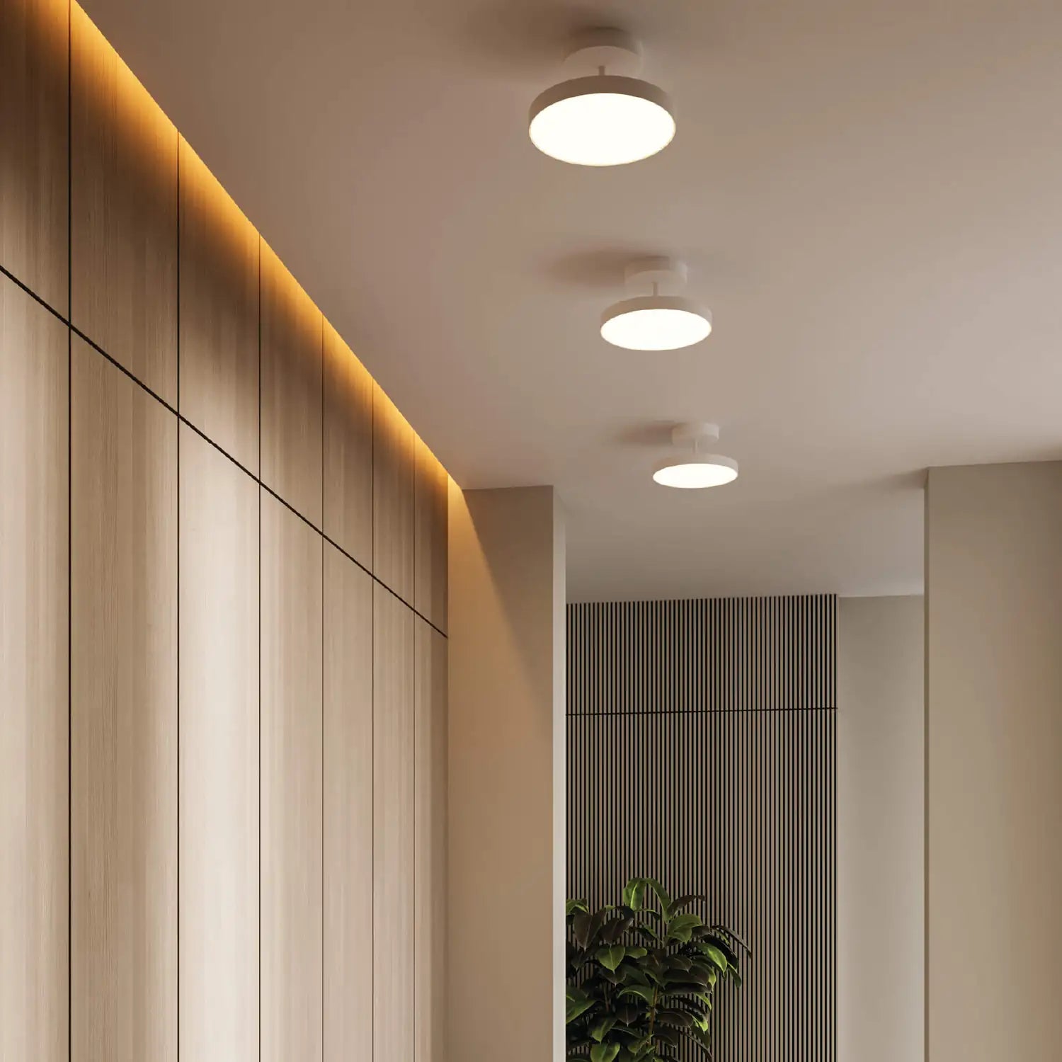 DALS FUSION LIGHT