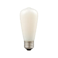DVI ST19 E26 BULB - DO NOT SHOW ON WEBSITE