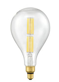 DVI A165 E26 BULB - DO NOT SHOW ON WEBSITE