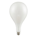 DVI A165 E26 BULB - DO NOT SHOW ON WEBSITE