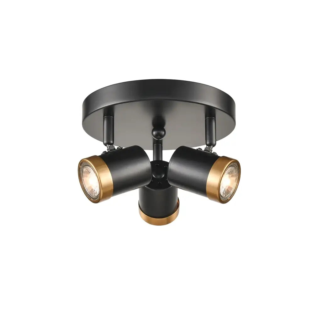 DVI, OEIL DE BASE FLUSH MOUNT, FLUSH MOUNT CEILING LIGHTS