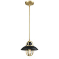 DVI, PEGGY'S COVE MINI-PENDANT, PENDANT LIGHT