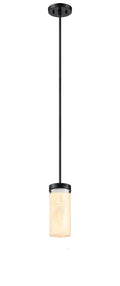 DVI, BESSEMER PENDANT, PENDANT LIGHT