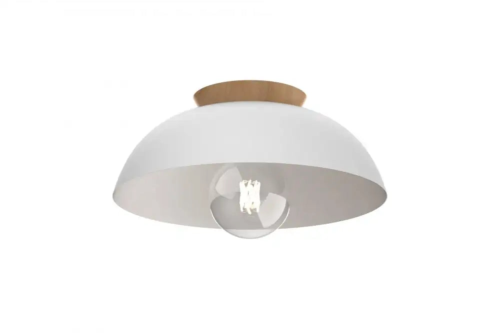 DVI, BERGEN SEMI-FLUSH MOUNT, SEMI FLUSH MOUNT LIGHT