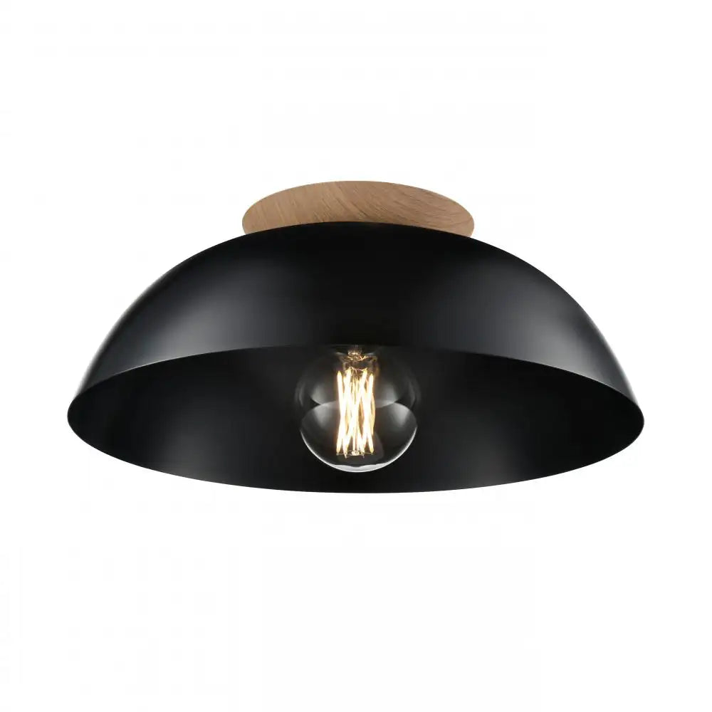 DVI, BERGEN DUAL-MOUNT, FLUSH MOUNT CEILING LIGHTS