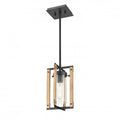 DVI, OKANAGAN PENDANT, PENDANT LIGHT