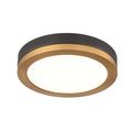 DVI, TEMAGAMI CCT FLUSH MOUNT, FLUSH MOUNT CEILING LIGHTS