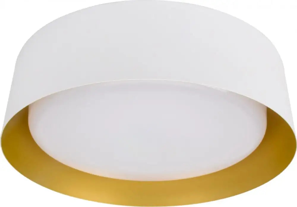 DVI, YUKON FLUSH MOUNT, FLUSH MOUNT CEILING LIGHTS